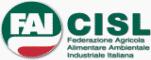 FAI CISL Lecce: V° Congresso